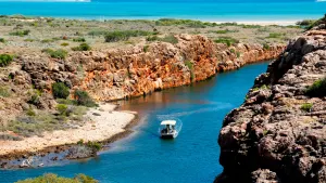 Ningaloo Top of the Range Safari